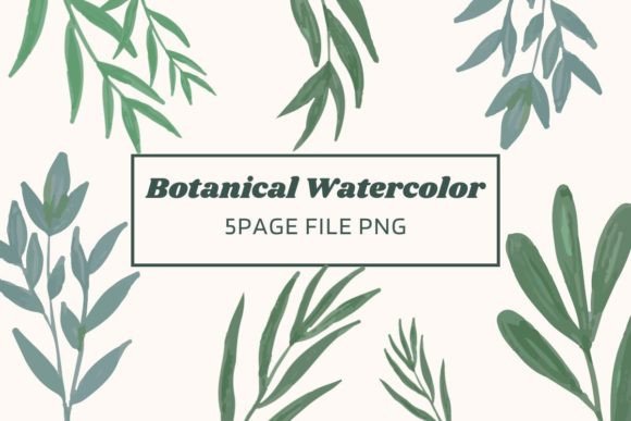 Botanical Watercolor Pack 02: Illustrations That Bring Organic Charm to Digital Content
