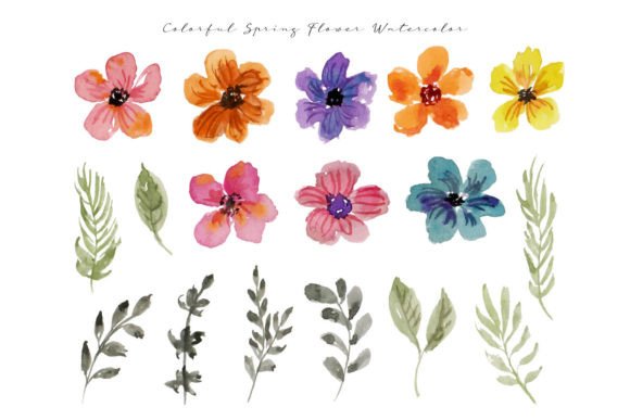 Colorful Wild Flower and Leaf Watercolor Illustrations for Local Branding
