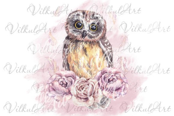 Cute Animal Owl Png Watercolor Clipart for Branding & Marketing Illustrations
