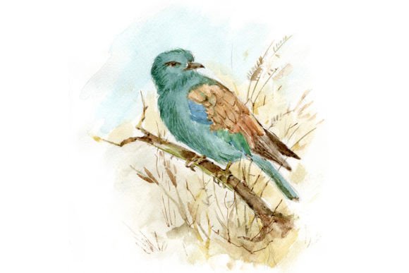 Elegant Watercolor Bird Illustrations for Local Business Branding