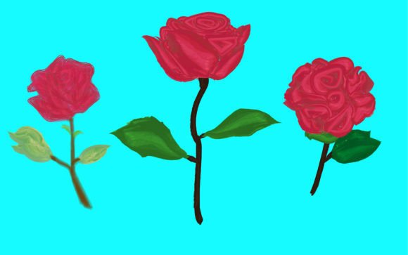 Elegant Watercolor Rose Illustrations for Blog & Editorial Design