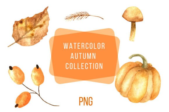 h1Watercolor Autumn Elements: Illustrations for Warm Brand Storytelling/h1