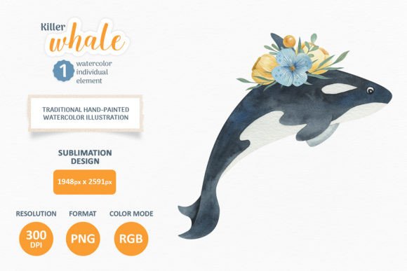Killer Whale Watercolor Clipart for Blog & Editorial Design