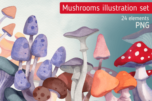 Mushrooms Watercolor Collection: A Designer’s Real-World Review for Branding & Creative Projects