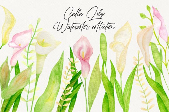 Watercolor Calla Lily Clipart Set Review for Real Embroidery Projects