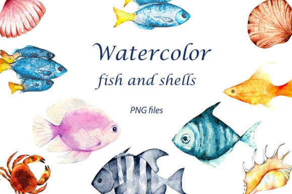 Watercolor Fish and Shells Illustrations for Soft, Organic Branding