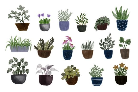 Watercolor Plant in Pot Collections: A Crafter’s Review of Versatile Illustrations for Handmade Business