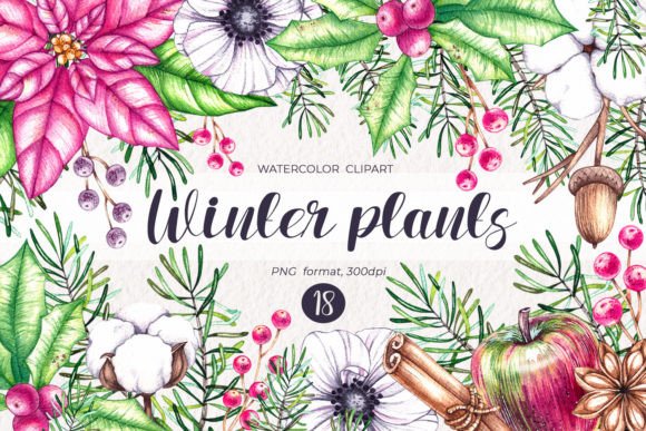 Watercolor Winter Plants Clipart PNG for Real Crafting: A Handmade Business Review